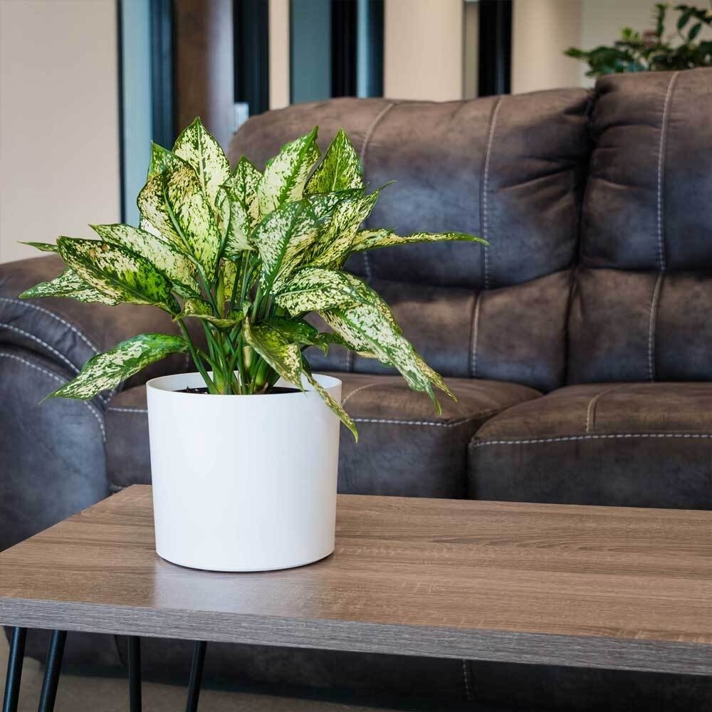 Customized Fiberglass Flower Plant Pots Round For Indoor Plants