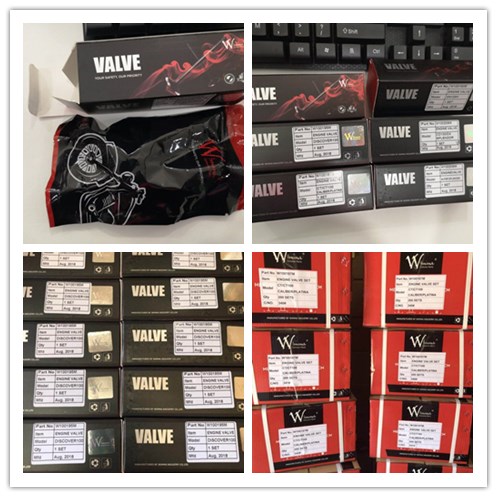 valve packing 2_
