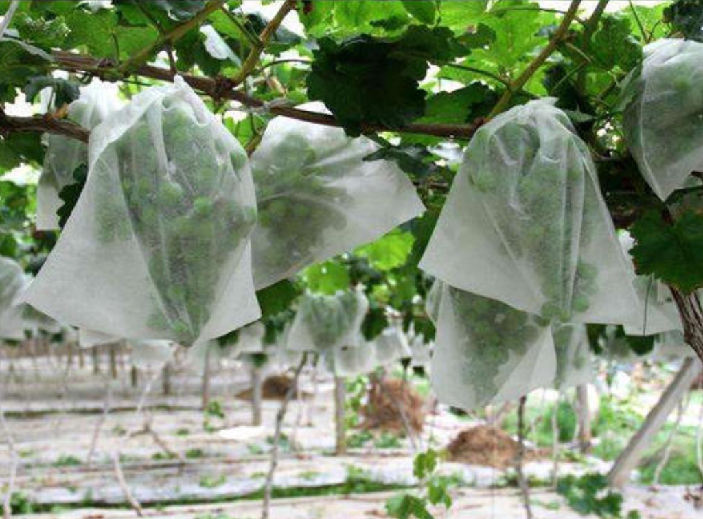 PP Non Woven Fabric 350g Agricultural Geotextile Cloth 10-320cm
