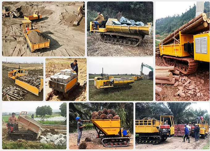 Garden Multi Functional Track Transporter Crawler Type 0.8- 6L Engine Capacity