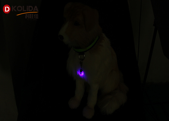 Pet Dog Collar LED Safety Tag Glow Luminous LED Flashing Lights Neck Strap Pendant Gifts