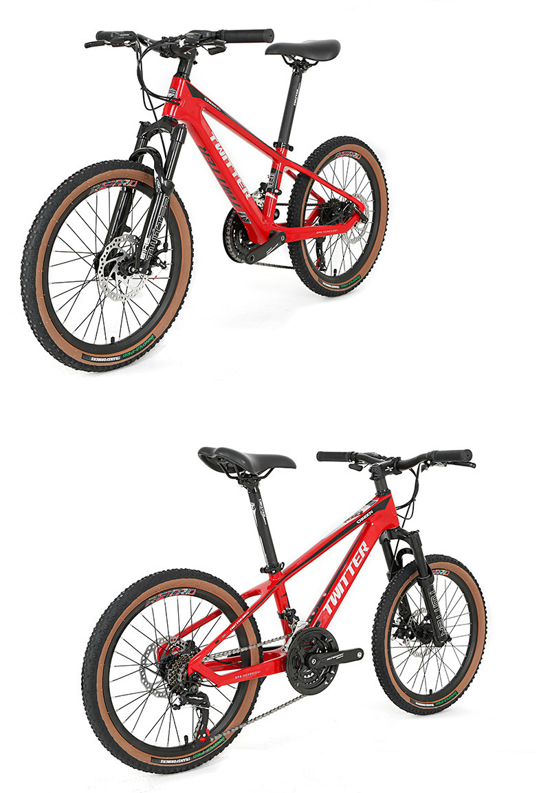 20inch Carbon Fiber Mountain Bike SHIMANO EF500 21 Speed With Disc Brake