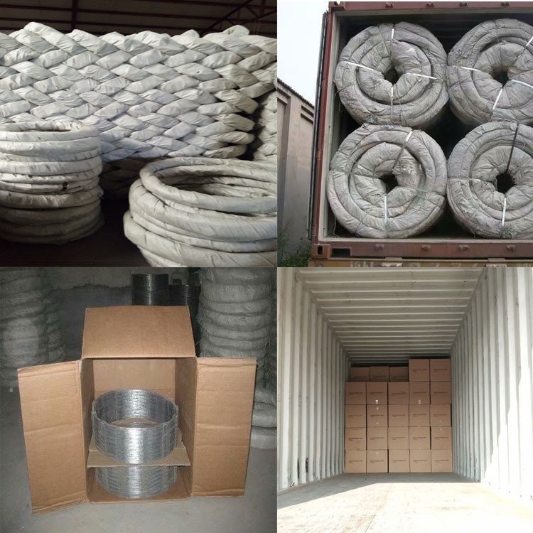Flat Razor Galvanized Barbed Wire Razor Fence Roll PVC Coated 26mm~100mm Barb Distance