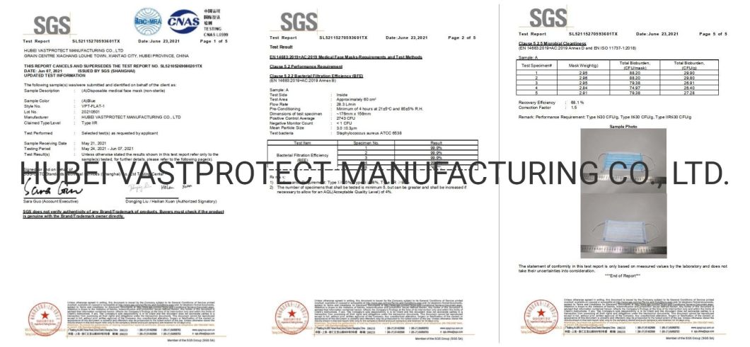Factory CE En14683 Type I/II/Iir Nonwoven Disposable Medical Face Mask