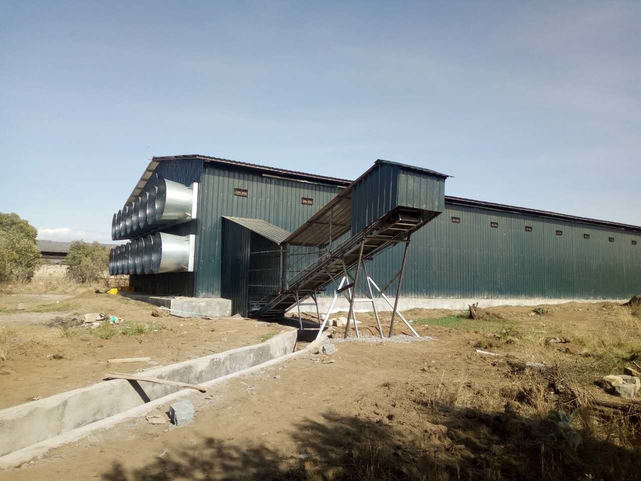 Full Automatic System Layer Poultry Cage Big Size 4 Layers / Cell