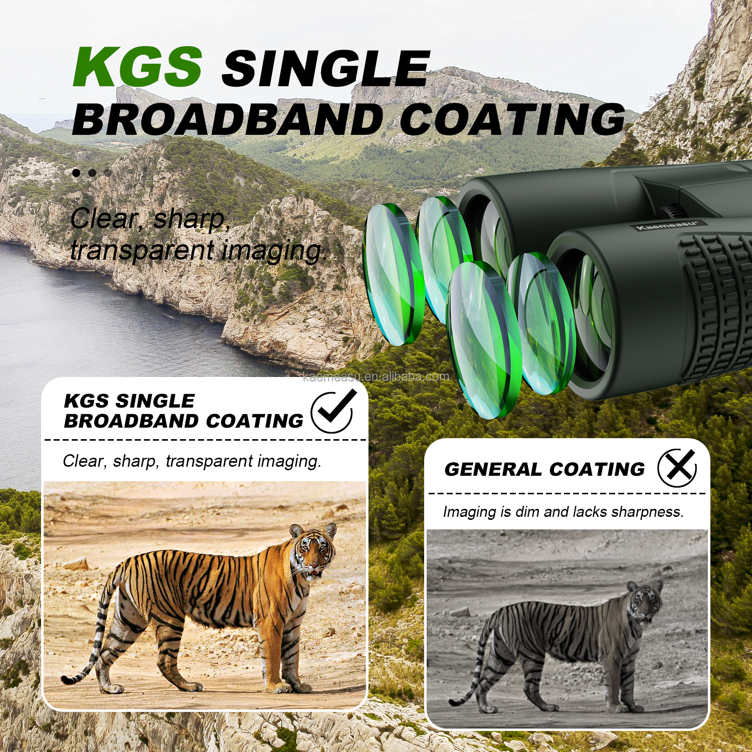 C 10X High Definition Binoculars 10X42 for Adults Optical Telescope for Hunting and Travel