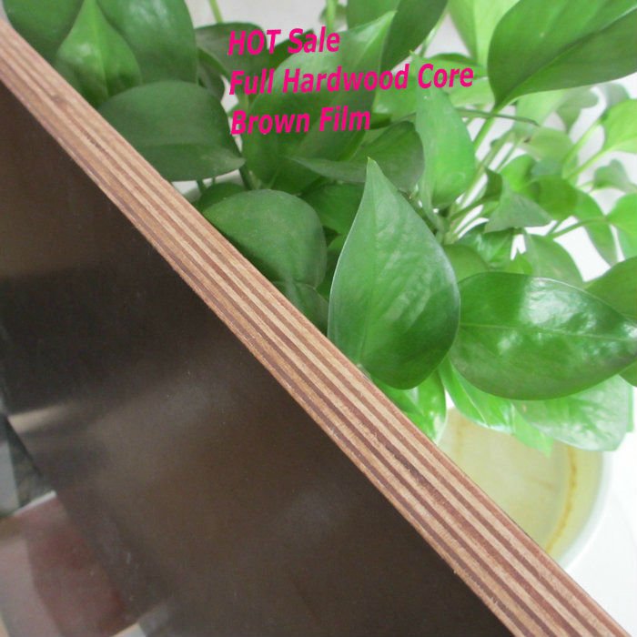 Construction WBP 1220*2440mm Film Faced Shuttering Plywood
