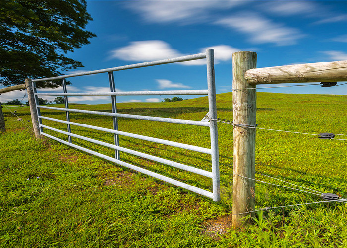 Galvanized 1.2mm Driveway Farm Gate Metal Agricultural With Hingle