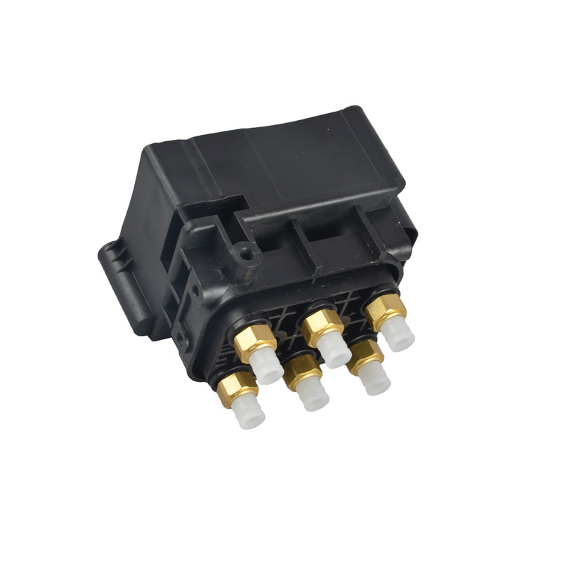 1kg Air Suspension Valve Block OEM 97035815302 7P0698014 95835890101 95835890102 95835890300 7L0698014 Heavy-Duty Design