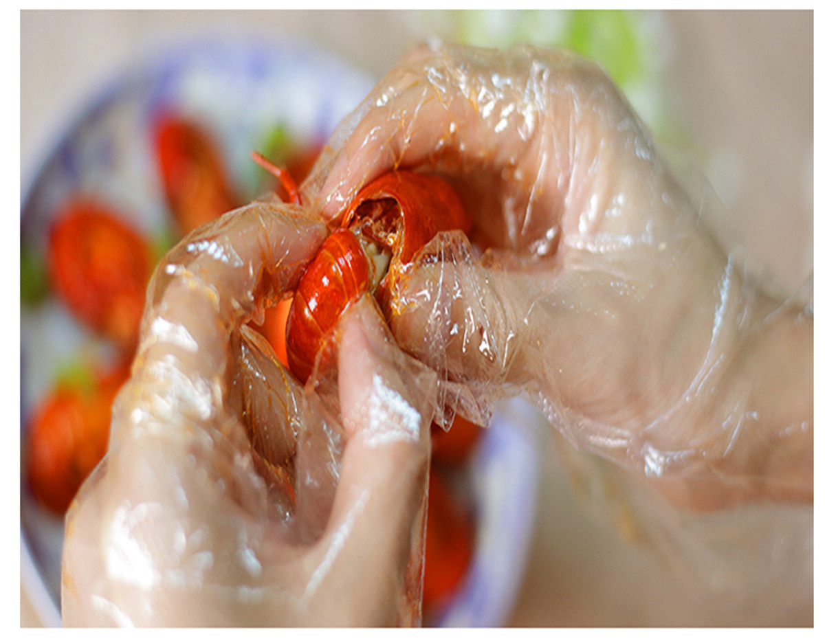 Non Sterile Polyethylene Disposable Gloves Disposable PE Gloves For Food