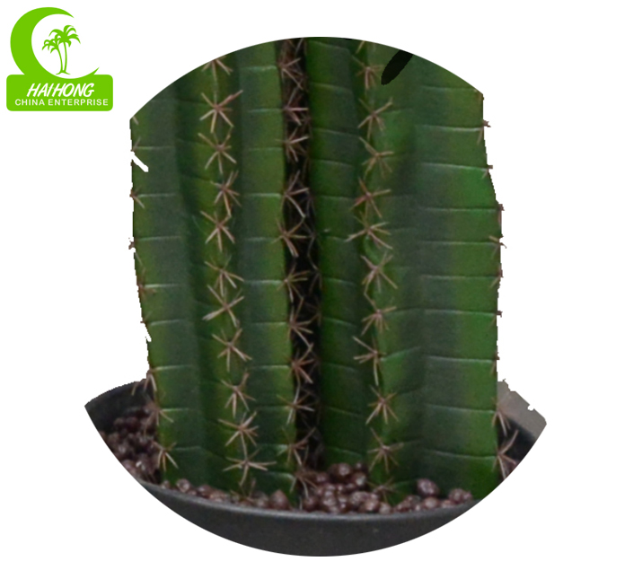 artificial cactus 