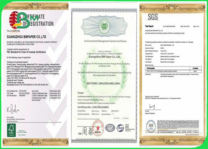70g + 20g Woodfree Offest Paper PE Coated Greaseproof And Waterproof In Sheets