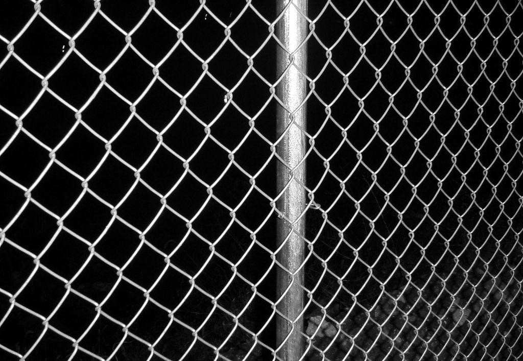 12 Feet Green PVC Chain Link Fence 45x45mm Diamand Hole