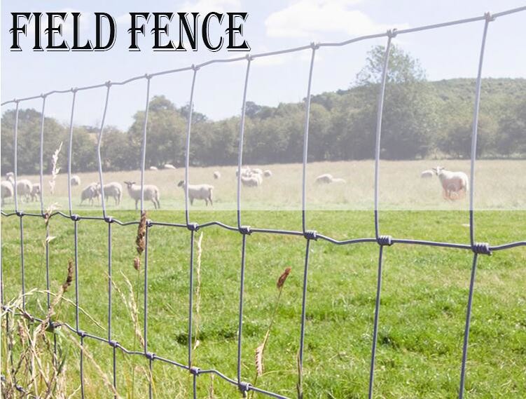 Steel 6.6ft High Fleet Farm Welded Wire Fence With Y Post For Cattle Feeding
