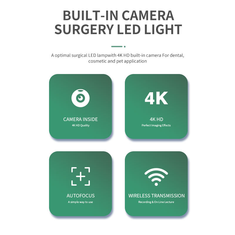 100000 Illumination Shadowless Operating Lamp Dental Chair Light With Camera