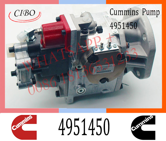 Cummins NTA855 Engine Parts Injection Fuel Pump 4951450 4951440 4951441