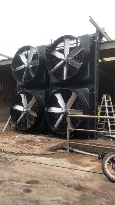 520V Industrial Livestock Farm Exhaust Fans Fiberglass With Cone