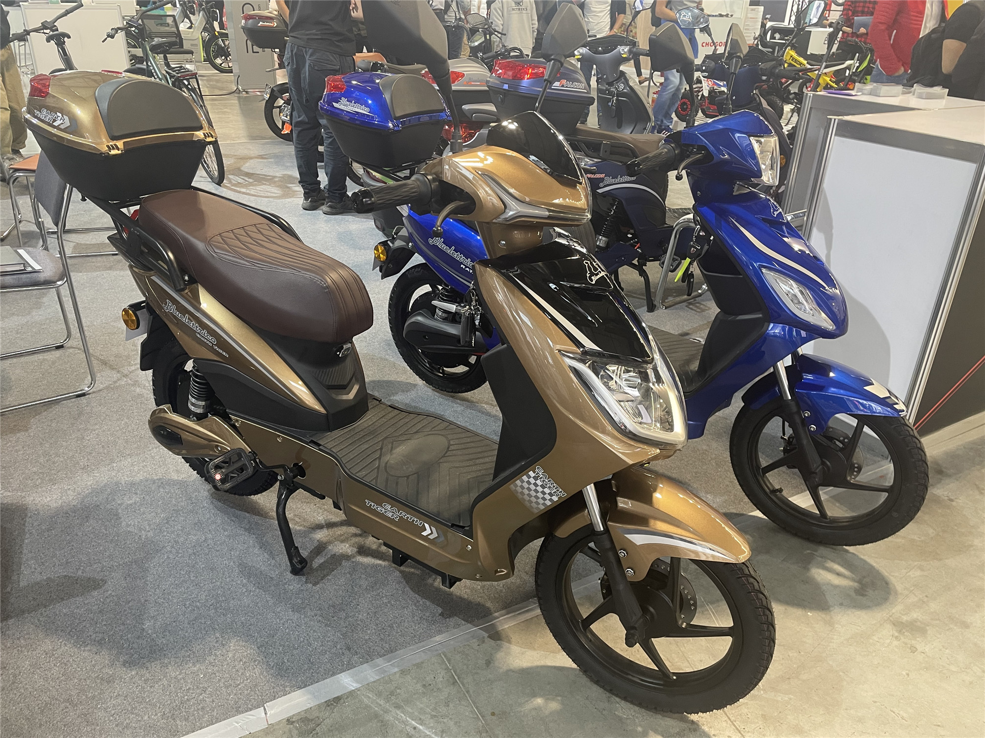 Steel Frame Electric Moped Bike With Pedals LCD Display 48V 31.2Ah Lithium Battery