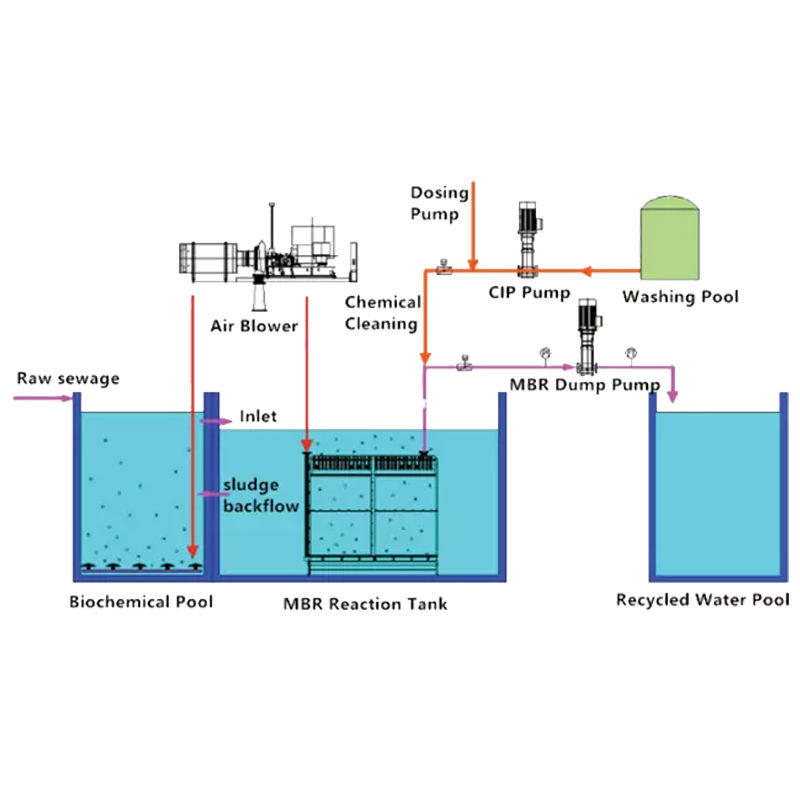 1000L/H Small Packaged Water Treatment Plant 3KW Mbr Wastewater Plant