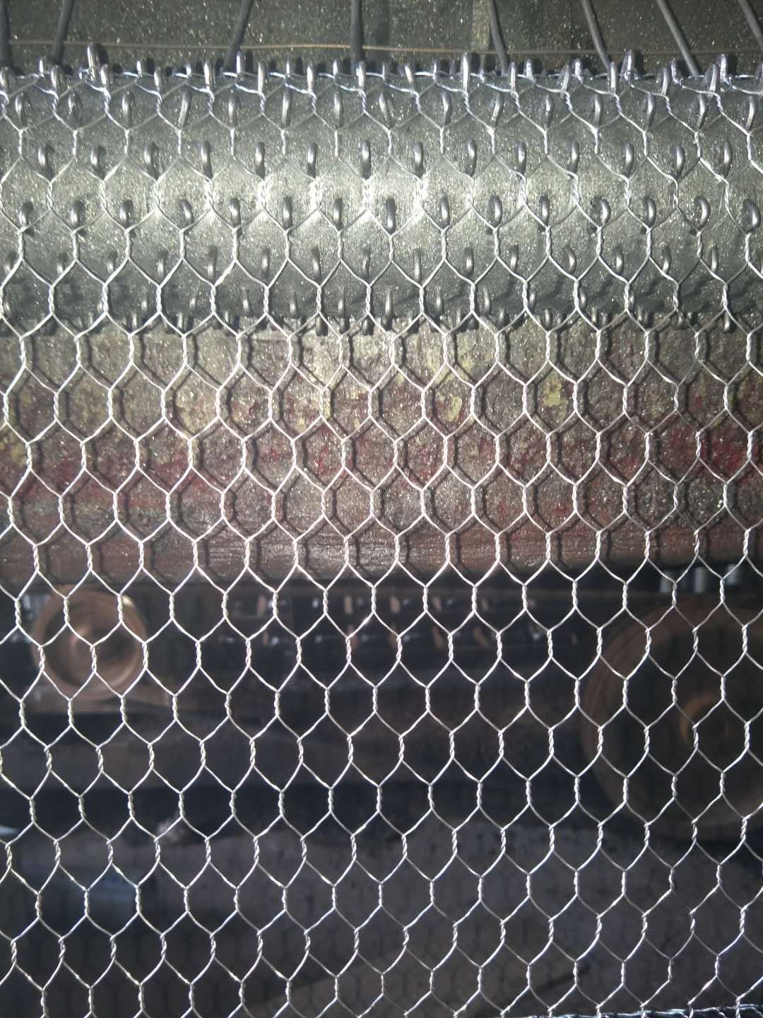 Reverse Twist / Normal Twist Hexagonal Wire Mesh For Chicken Cage Or Garden