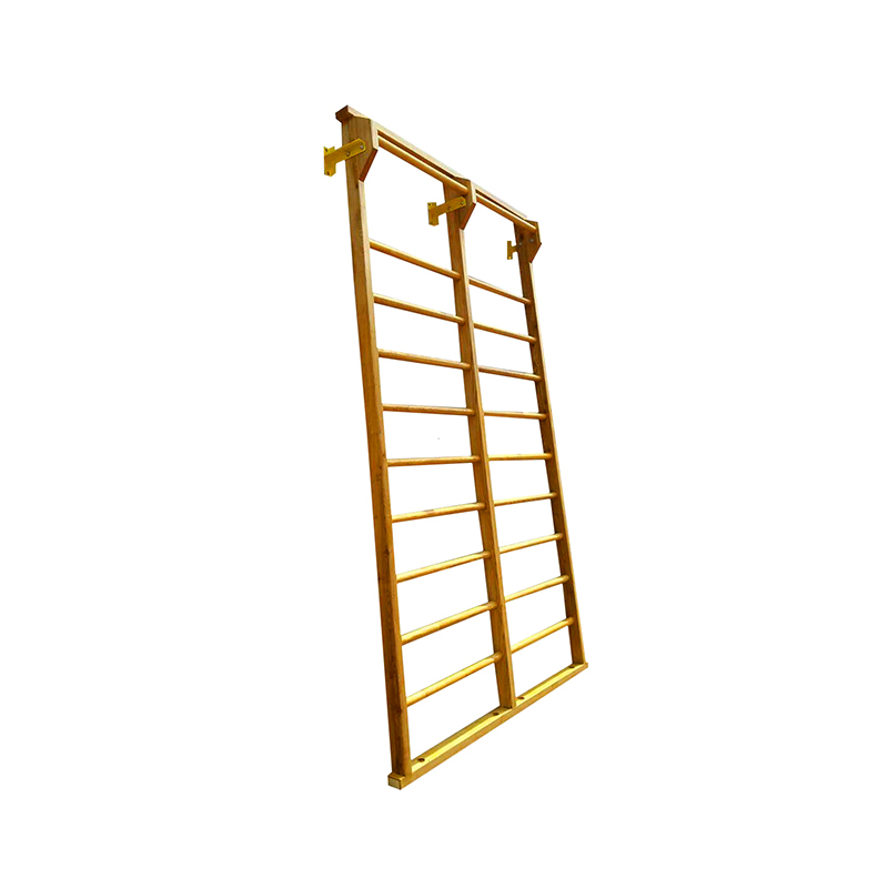 Gym Sport Step Ladders Fitness Exercises with Indoor Wooden Ladders and Structure