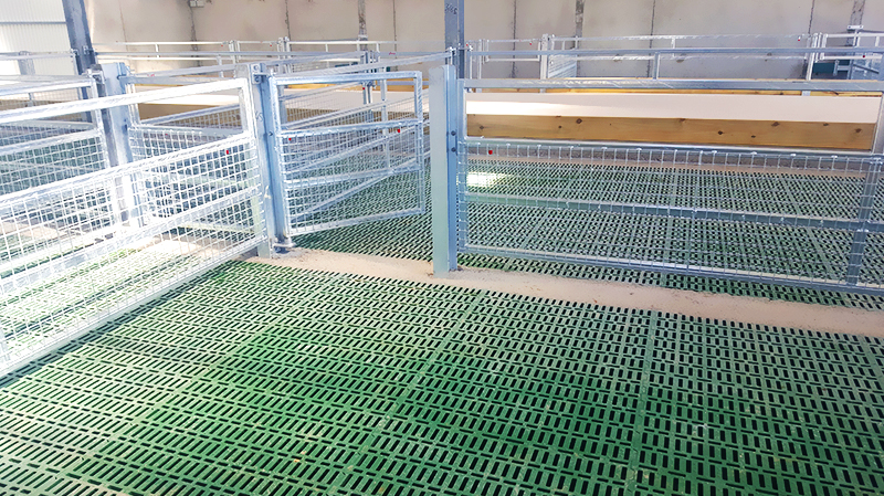 Prefabricated Barns for Cattle Horses Goats and Sheep Fast Build Steel Structure
