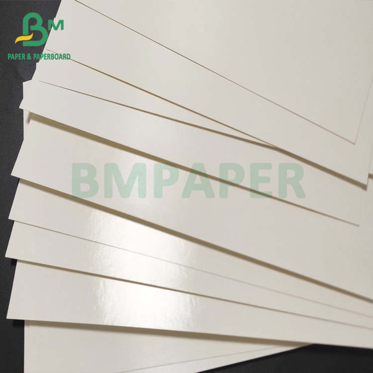 PE coated cup paper