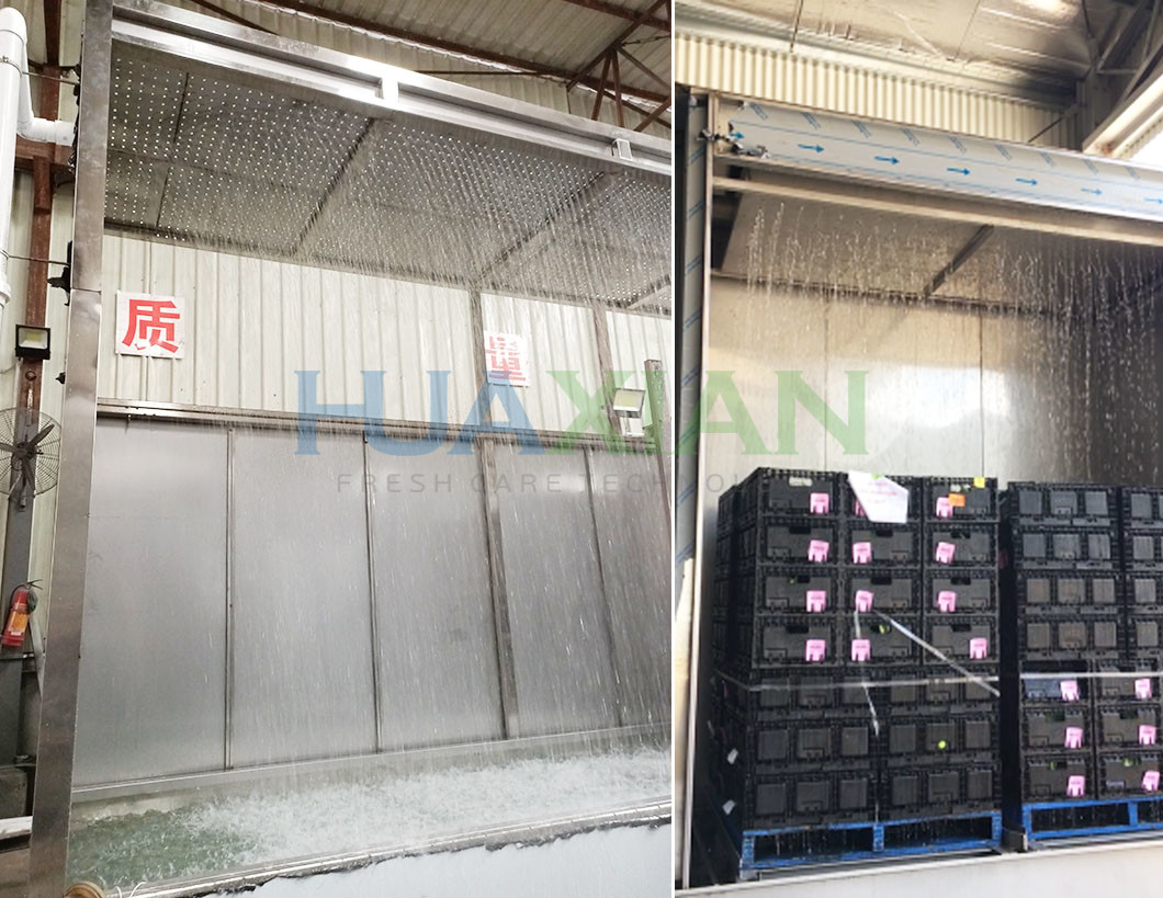 Stainless Steel 4 Pallet Water Chiller Type Hydro Cooler for Broccoli