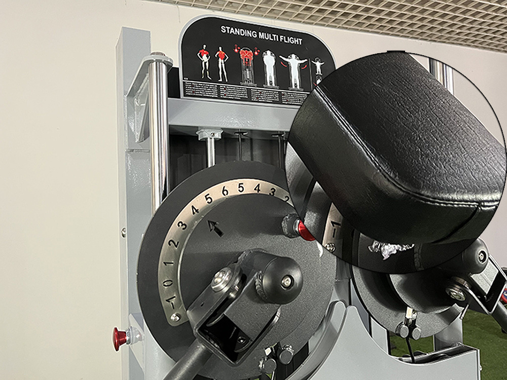 Strength Machine/High Quality Commercial Gym Equipment Side Raise