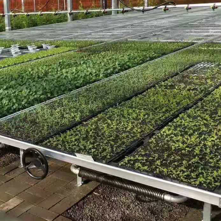 Agricultural Equipment Greenhouse Bench Systems for Seedling Nursery