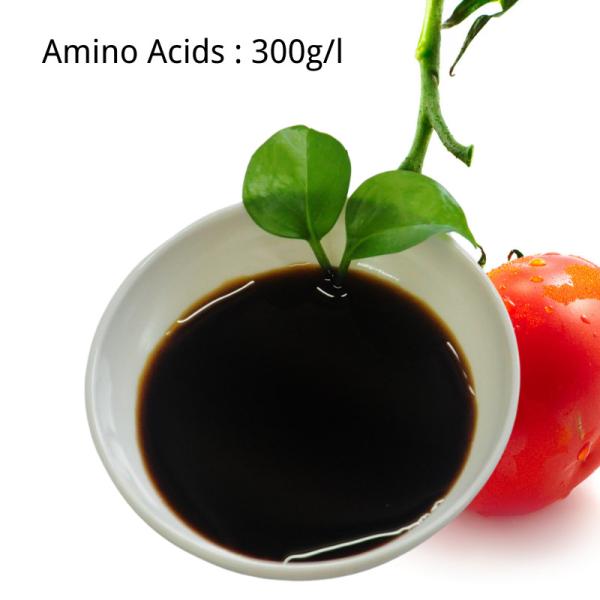 Quality Vegetal Origin Amino Acids Liquid Fertilizer 300g/L Foliar Fertilizer For Plants for sale