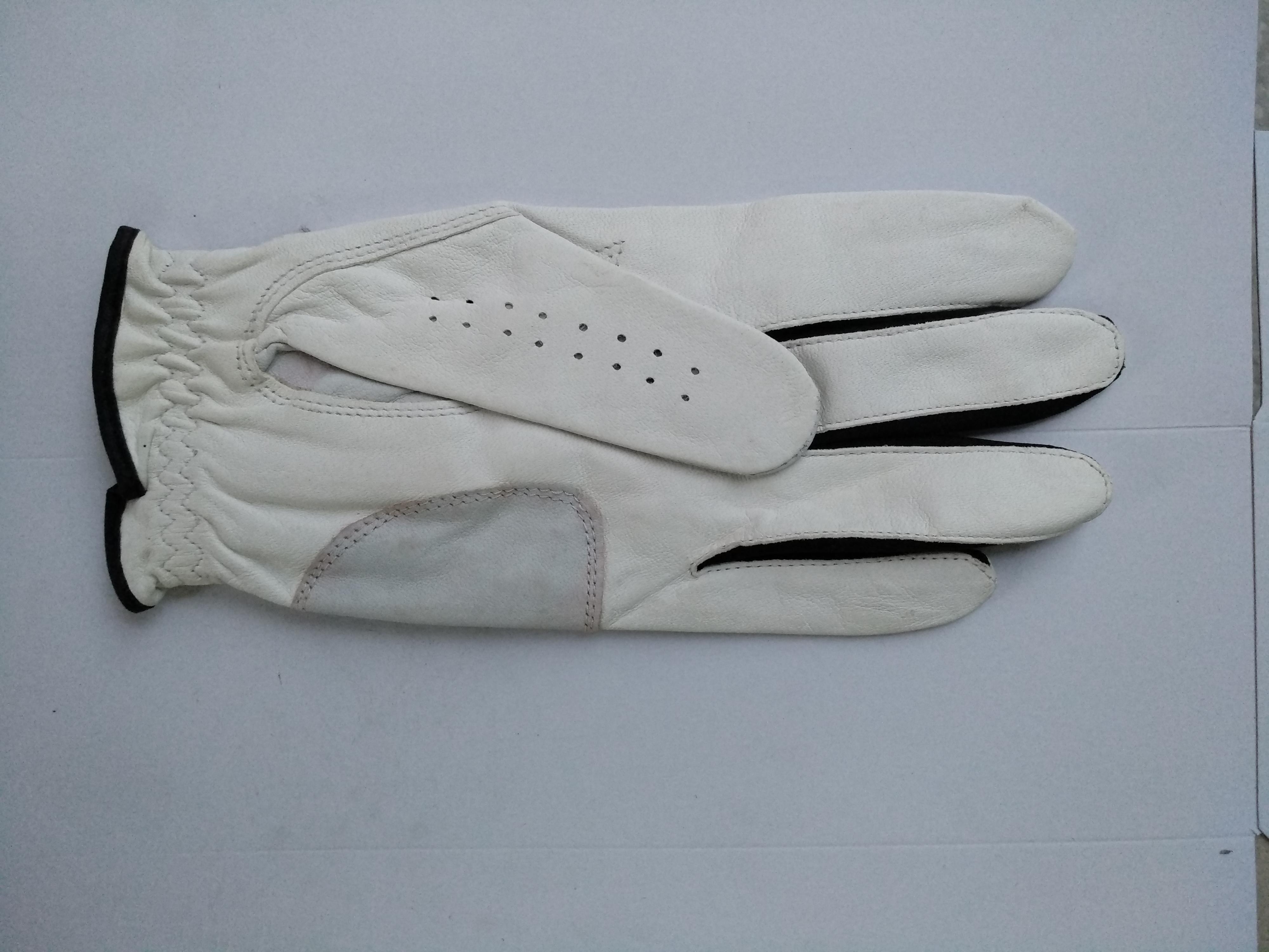 golf glove , golf gloves , glove , gloves