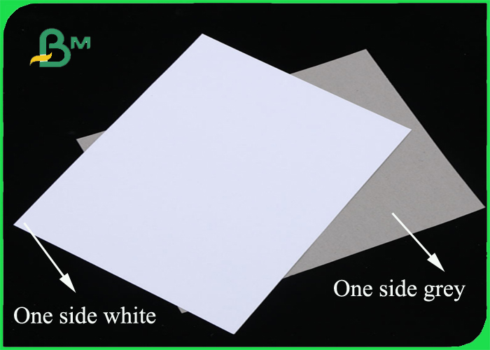 200 / 230gr C1S With Grey Back Grade AA Width 1250mm With SGS & FSC Certified