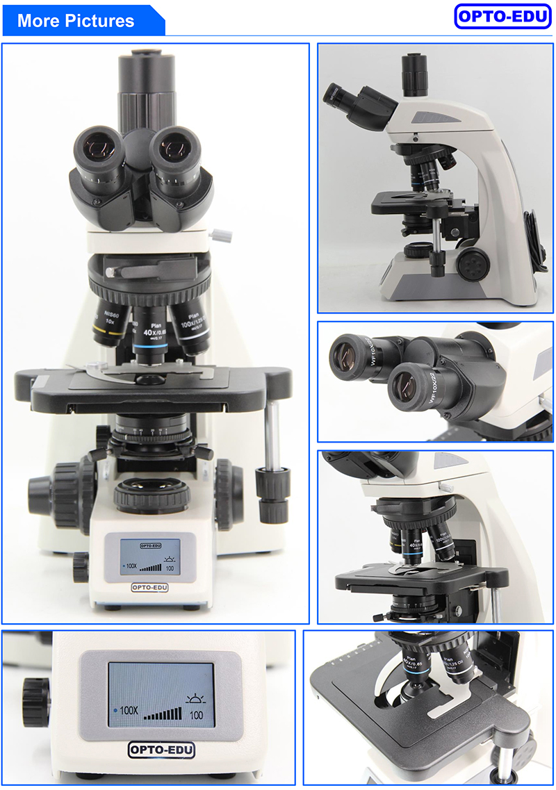 Opto-Edu A12.1062 Binocular Lcd Laboratory Biological Microscope