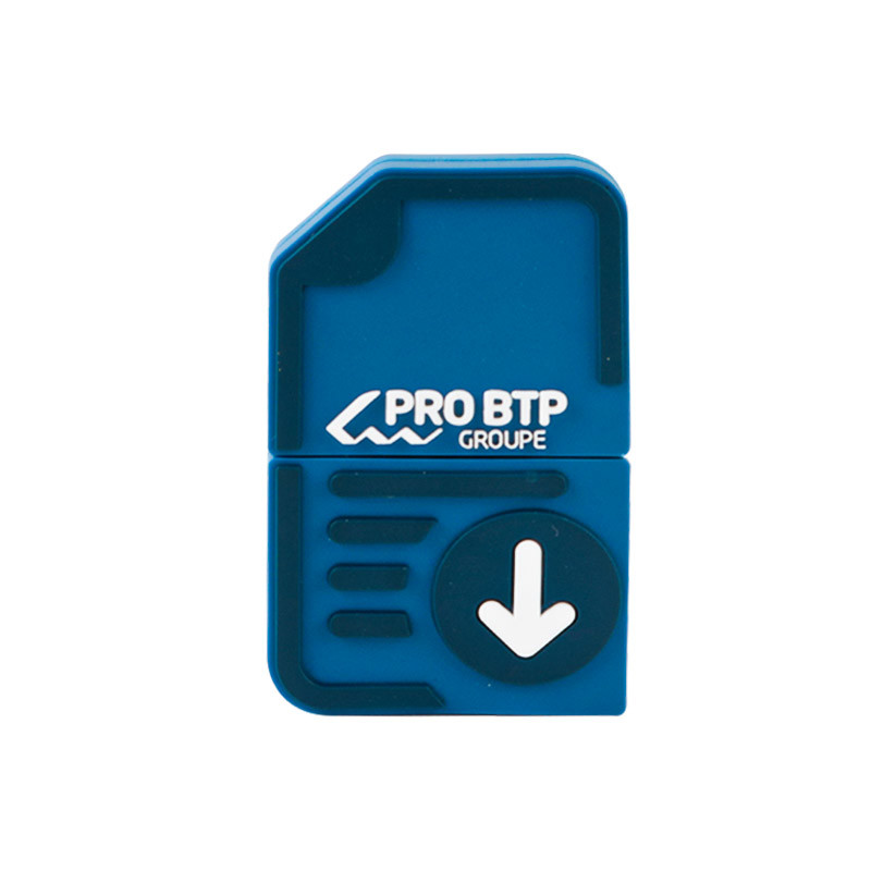 2GB Custom USB Flash Drives 10 Years Data Retention Free And Fast Artwork Customizable