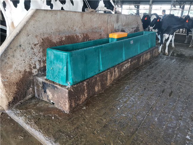 Cow Frost Proof Thermal 98KG Cattle Water Drinkers 560mm Heated Water Trough