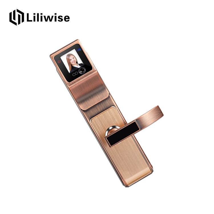 Automatic Control Face Recognition Door Lock Zinc Alloy With 2.5 Inch LED Screen