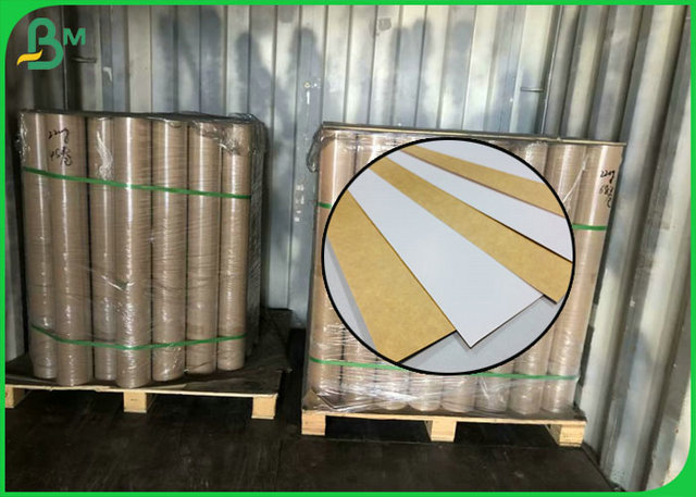 FSC Coated 250G White Back Kraft Paper For Making French Fries Box