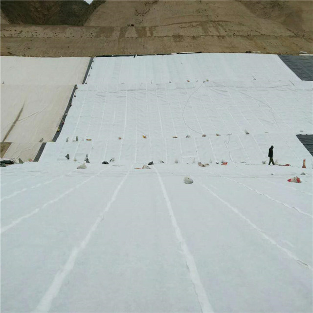 Drainage Engineering Solution 3D Geocomposite Drainage Mat with 5mm-12mm Geonet Core