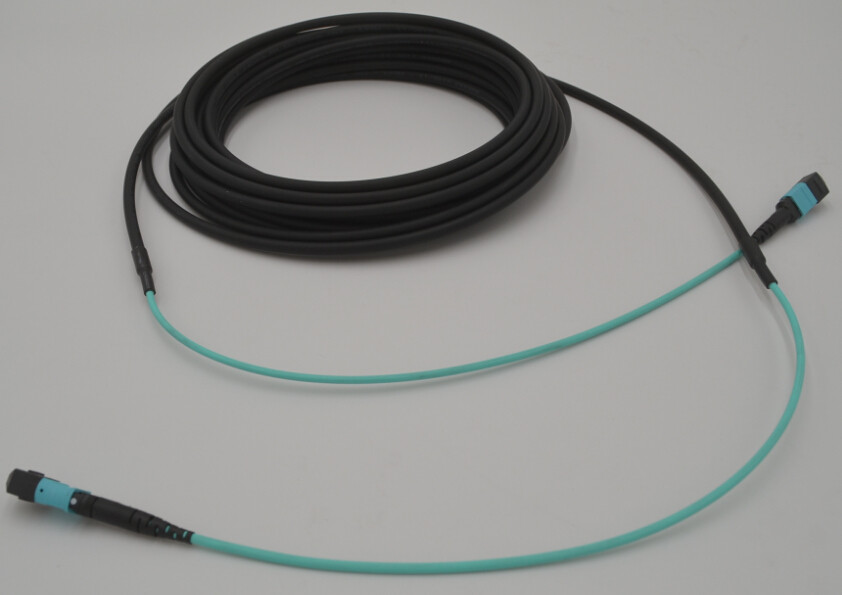 24 Core MPO MTP OM4 5.5MM Double Sheath Trunk Cable With 30cm Tail