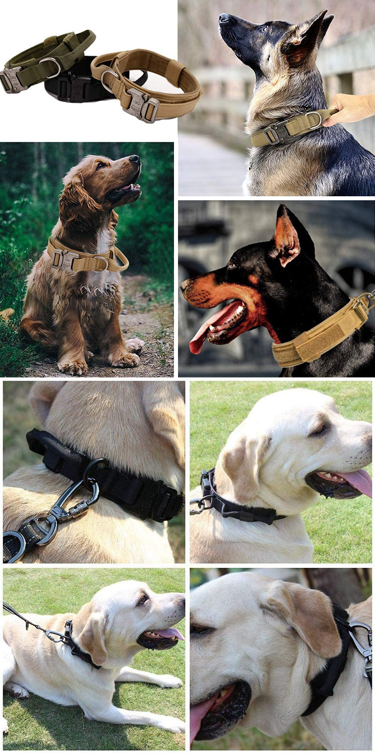 Black Sustainable Nylon Leashes OEM ODM Training Leashes For Puppies