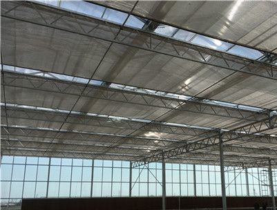 Custom Double Arch Beam Greenhouse for Vegetables Growing