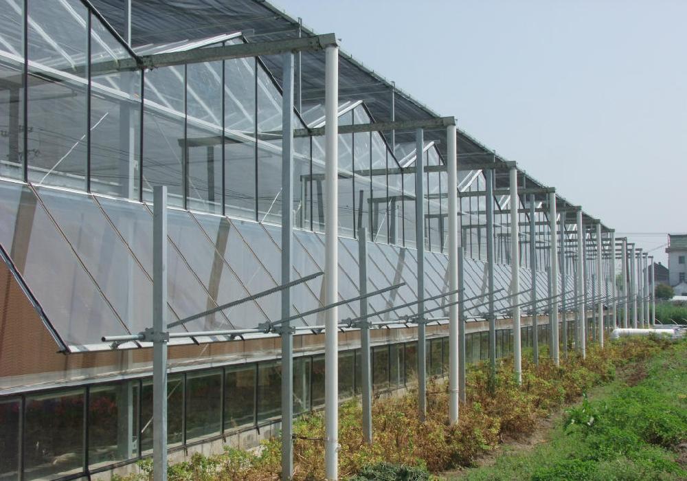 Good quality venlo glass greenhouse equipped with hydroponic technology