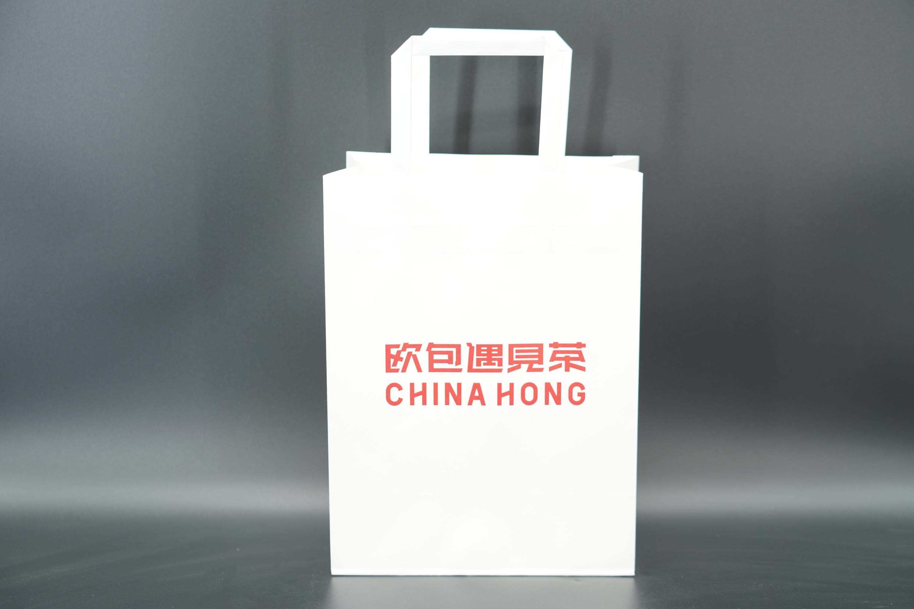 Flap Rope Handle Paper Bags Lightweight Recyclable Paper Grocery Bags