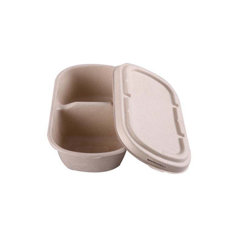 Biodegradable Paper Pulp Lunch Container, Sugarcane Bagasse Food Container, Disposable Tableware