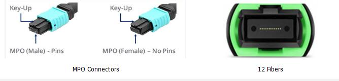 12 Fibers MPO to LC OM4 Fiber Optic MPO-LC 2.0mm Straight harness Cables