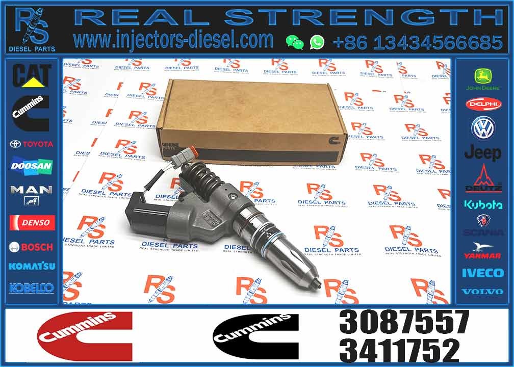 Common Rail Injector Diesel Fuel Injector Nozzle Assembly 3652542 3652541 3411752 3087557 3084589 3411753 309504