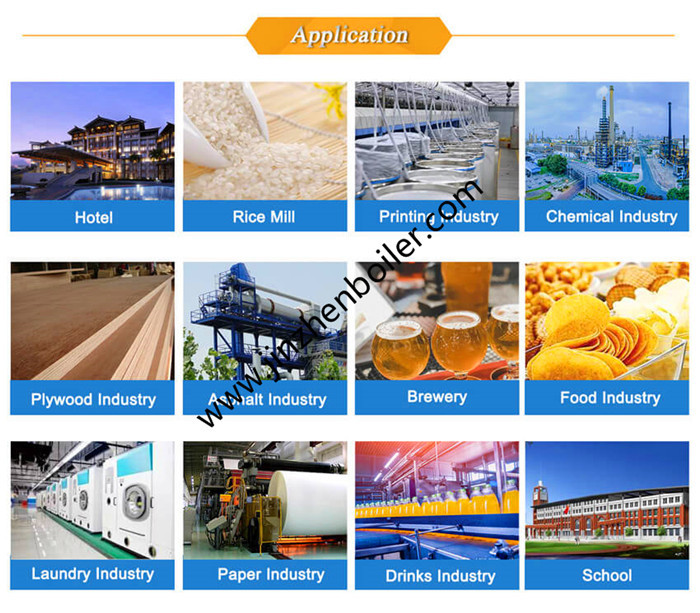 Food Industry Low Cost Wood Or Coal Fired Small Steam Boiler Price For Food Sterilizing