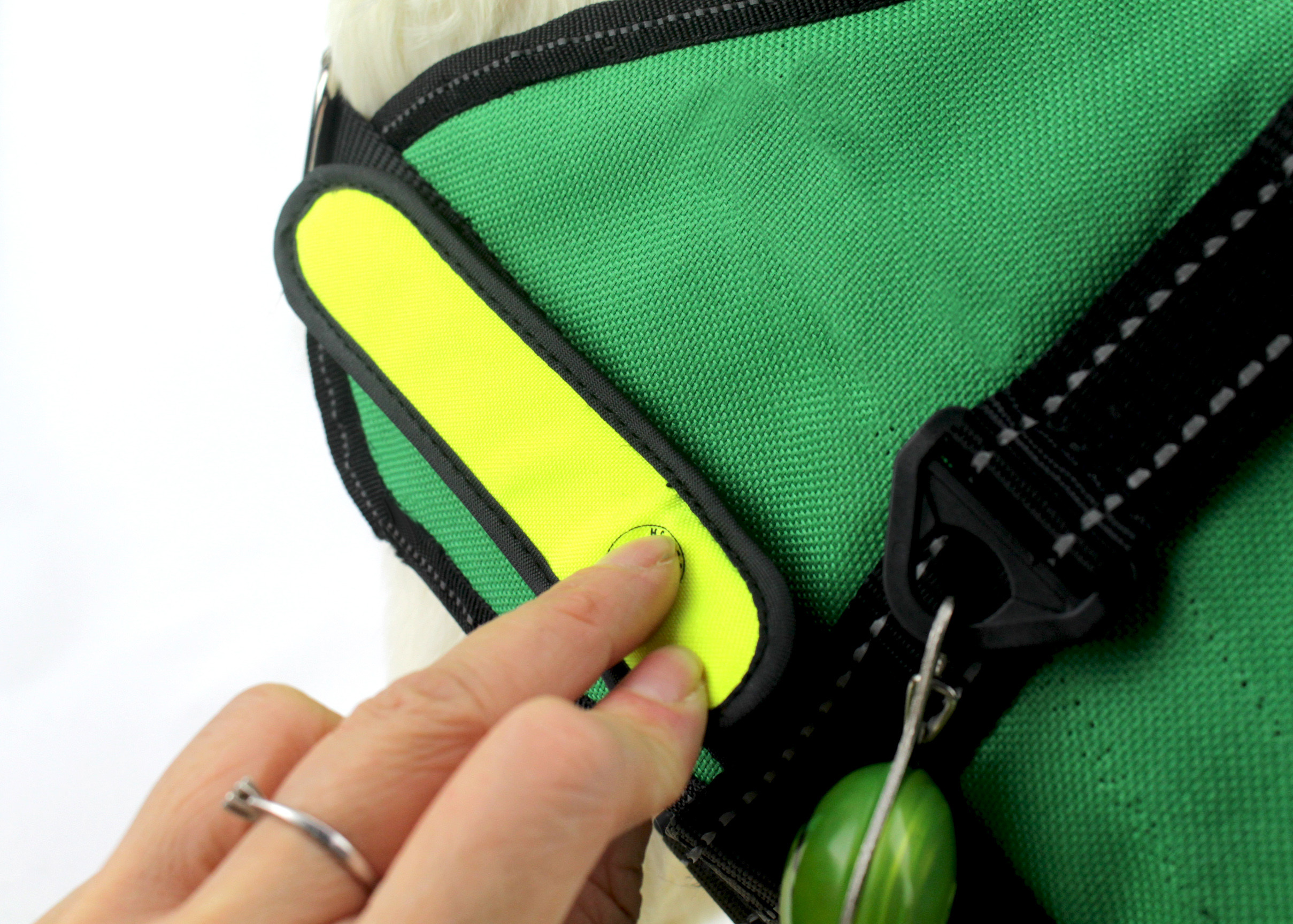 Eco - Friendly Nylon Webbing Glowing Pet Cat Safety LED Light Up Dog Harness Green