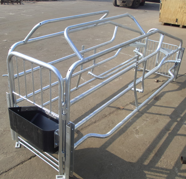 hot dip galvanized pig farrowing crate pig cages for pig farming